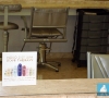 dovetherapy_1copy