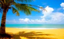 atuacao-em-praias03